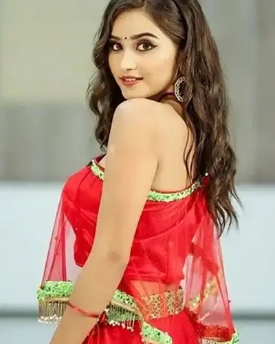 Escort In Shergarh